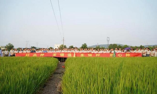 蓝月亮料全年资料